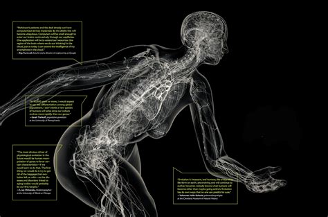 Image result for Evolution Human Body