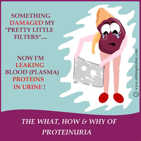 Protein in Urine: What, How & Why - All Things Kidney -Official