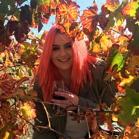 Swan Valley Winery Experience Full Day Coach Tour, Perth CBD, 21 ...