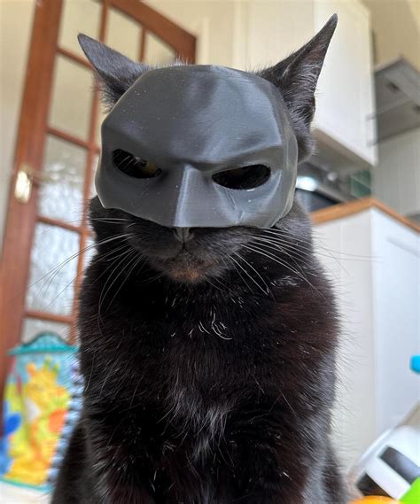 Bat Cat Cosplay Mask for Funny Pet Photos – Superhero Cat Costume ...