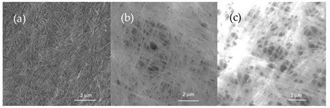 Influence of Drying Method and Argon Plasma Modification of Bacterial ...