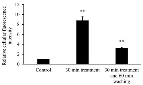 Pharmacokinetic Properties of Fluorescently Labelled Hydroxypropyl-Beta ...