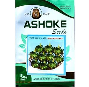 ASHOKE Seeds Parangikai Seeds All Year Growing Organic Kaddu Seeds ...