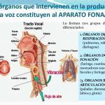 ¿Qué es dispositivo? Definición, concepto y significado.