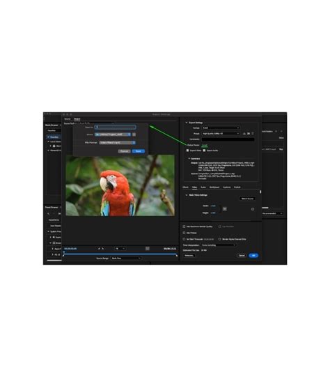Image result for Encoder Pro Tutorial 2025