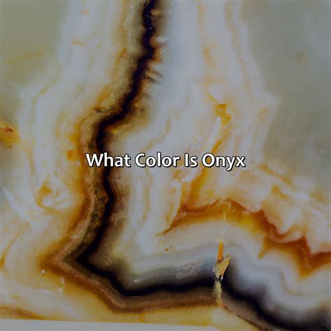 What Color Are Lions - colorscombo.com