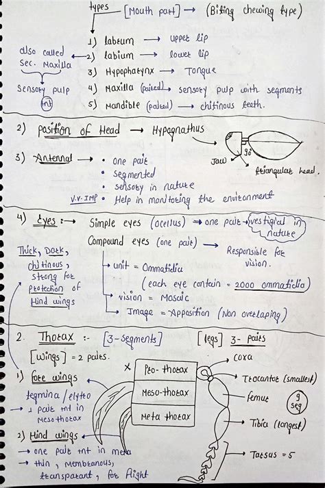 Image result for Cockroach Labeled