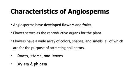Image result for Angiosperms Classes