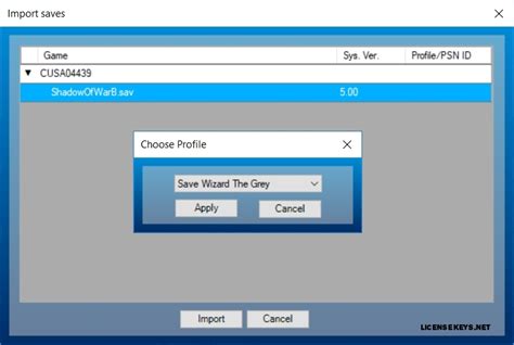 Image result for Save Wizard Entry Code
