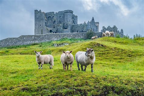 The Irish Language - The History and Quirks of Gaeilge | The Pimsleur Language Blog