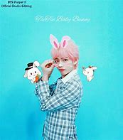 Image result for Baby Bunny On White Background