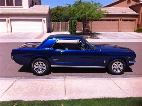Pin by Arlene Cammarata on Family, Friends, Pets | Blue mustang ...