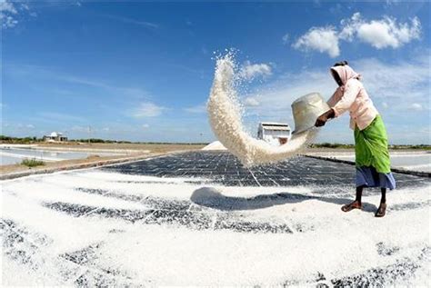 Business and Economy of Thoothukudi, Industries in Thoothukudi