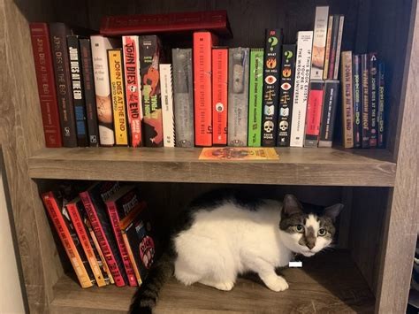 Image result for SolidWorks Mate Threads