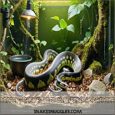 Children's Python Feeding 的图像结果