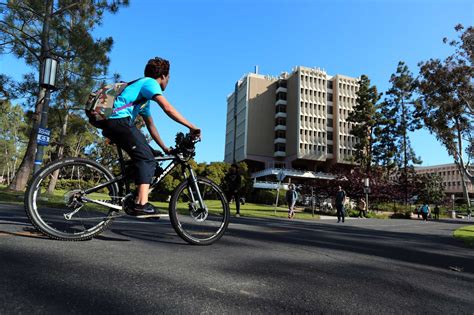 UC Irvine acceptance rate: Who gets in and who enrolls?