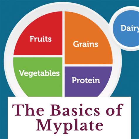 What Are The Components Of Myplate at Eugene Mash blog