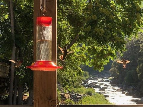 YOSEMITE BLUE BUTTERFLY INN (El Portal) - B&B Reviews & Photos ...