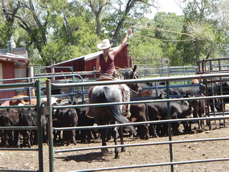 Beginner Roping Lessons 的图像结果