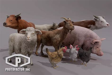 Image result for Download Assets Unity