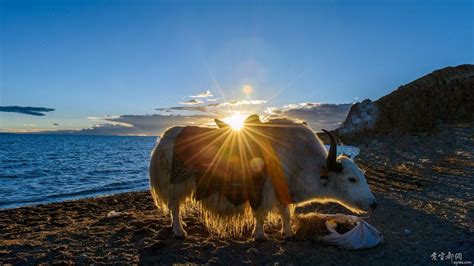 Image result for Evolution of Personal Computers