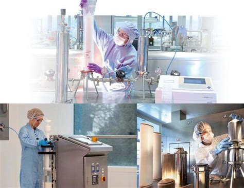 Downstream Processing Procedure 的图像结果