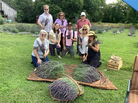 10 Lavender Farms to Visit in the South