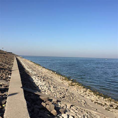 JAYAKWADI DAM (2025) All You Need to Know BEFORE You Go (with Photos ...