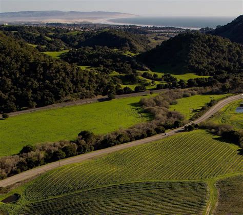 Adelaida Vineyards & Region.