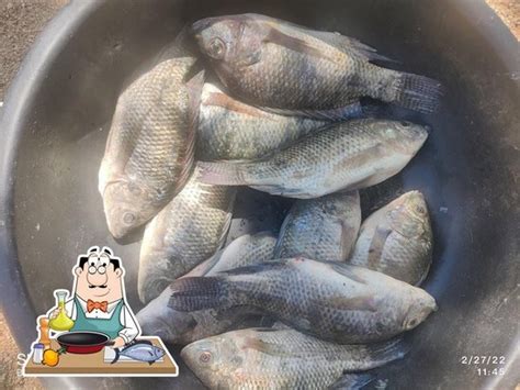 Vizag Colony Boating, India, H456+M7R - Restaurant reviews