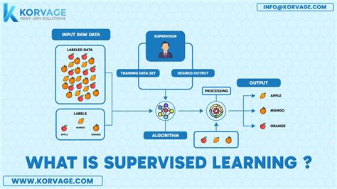 Image result for Supervised Learning Tutorial