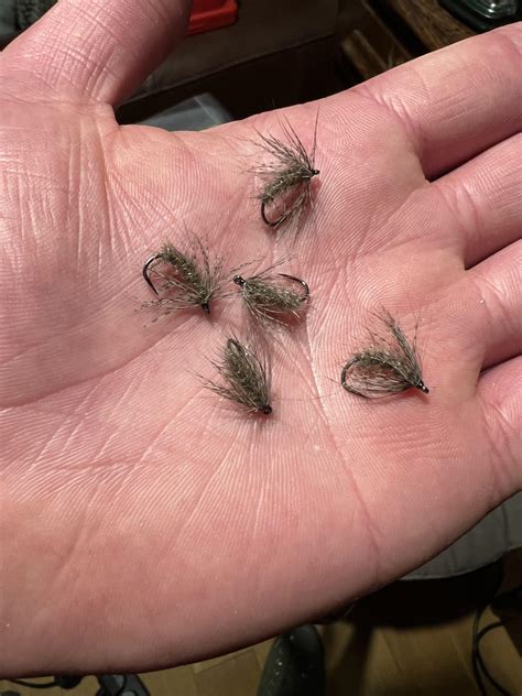 Image result for Magic String Fly