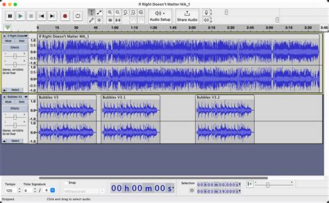 Audacity License 的图像结果