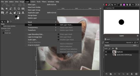 Image result for How to Repaint Using GIMP