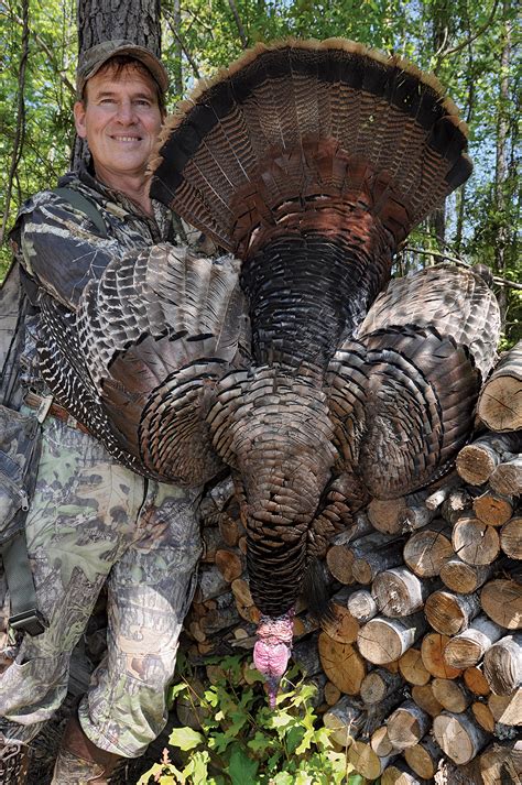 Wild Turkey Hunting In North Carolina at Skye Clarey blog