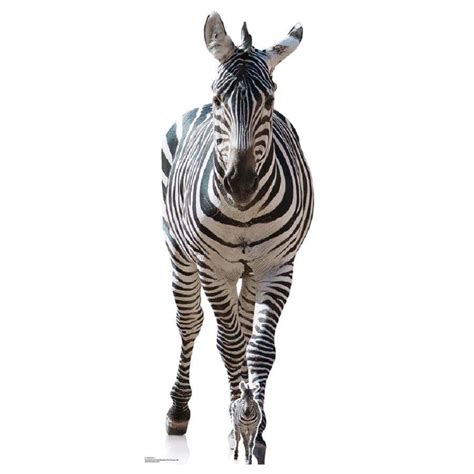 Image result for Zebra Cut Out