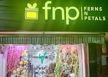 3 Best Flower Shops in Raipur - Expert Recommendations