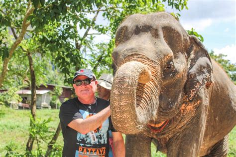 Aonang Elephant Sanctuary Experience - Klook India