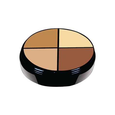 Buy 4 Color Concealer Palette Online - Daily Life Forever52