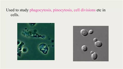 Image result for Phase Contrast Microscope