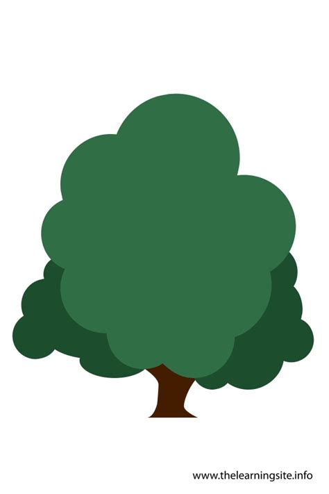 Tree Flashcard 的图像结果