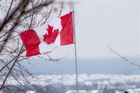 加拿大留学申请费多少？