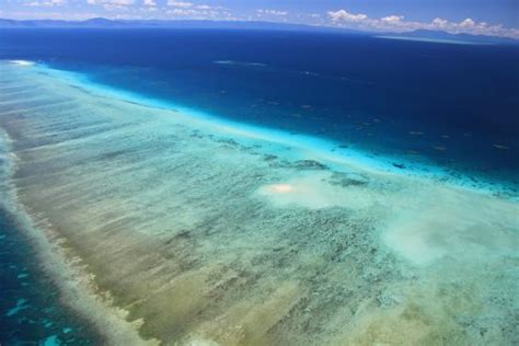 Aussie Airways (Cairns) - 2022 What to Know Before You Go (with Photos ...