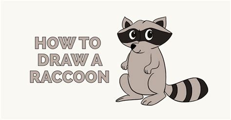 How to Draw a Raccoon - Really Easy Drawing Tutorial