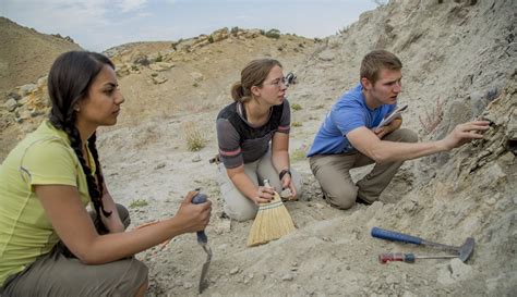 Paleontologists 的图像结果
