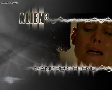 Image result for Alien Movie Quotes