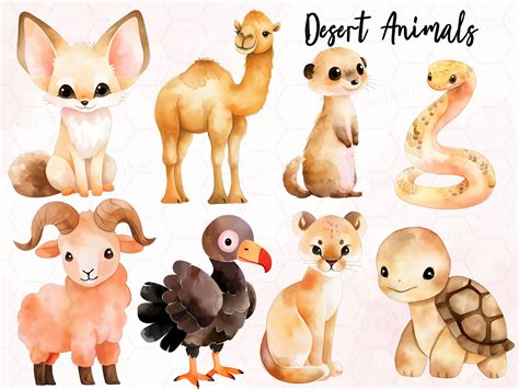 Desert Animals Names