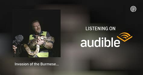 Burmese Python Invasion 的图像结果