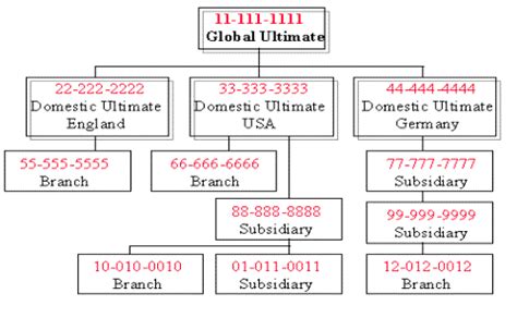 EMS grants: What is a DUNS quantity? - India Dictionary