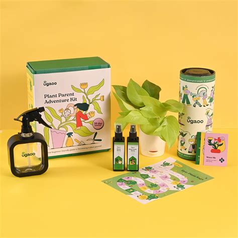 Buy Indoor Plant Kit for Beginners | Plant Parent Adventure Kit – Ugaoo